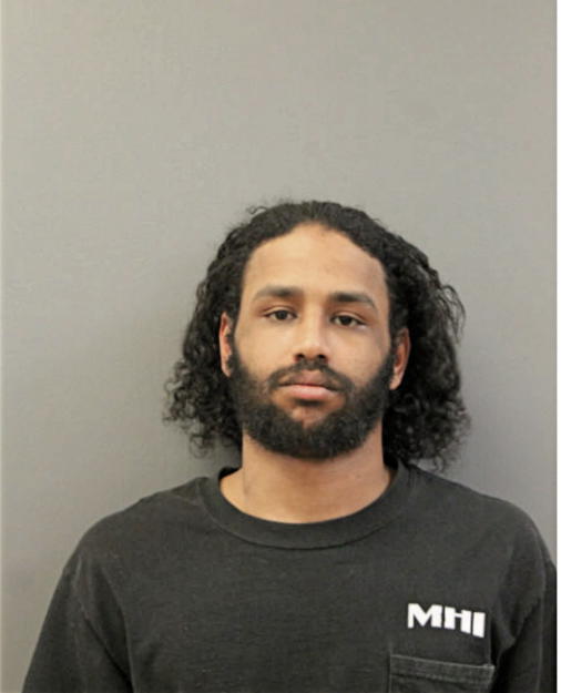 JUSTIN R GONZALEZ, Cook County, Illinois