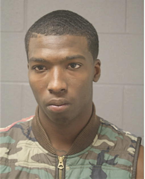 ANDRE D JOHNSON, Cook County, Illinois