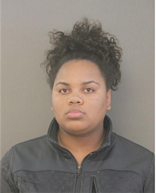 BRITTANY C JOHNSON, Cook County, Illinois
