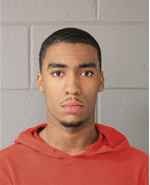 PATRICK L DAVIS, Cook County, Illinois