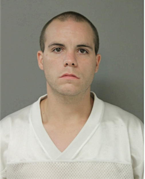 RYAN R LEDERER, Cook County, Illinois