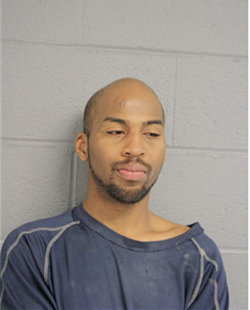 BRANDON MASON, Cook County, Illinois