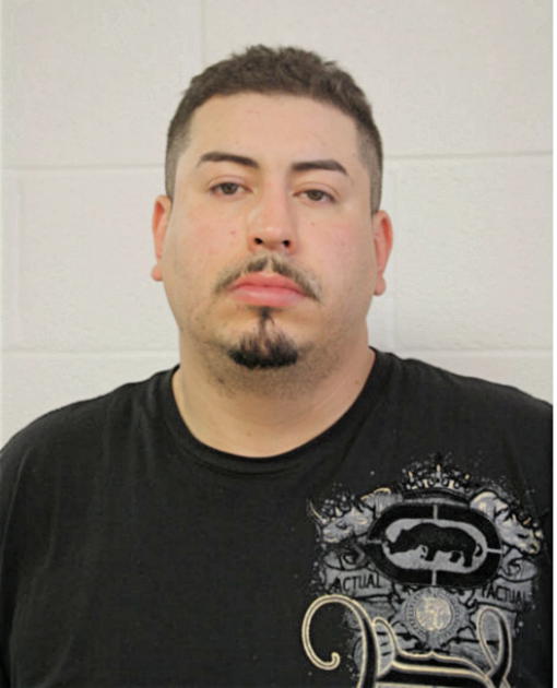 HECTOR MENDOZA, Cook County, Illinois