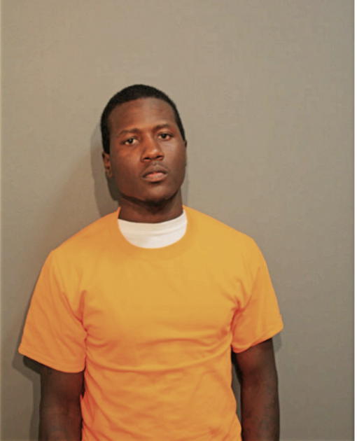 JOSEPH T MULLINS, Cook County, Illinois