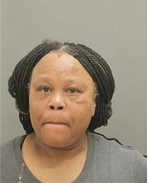 TERRI J NEAL, Cook County, Illinois