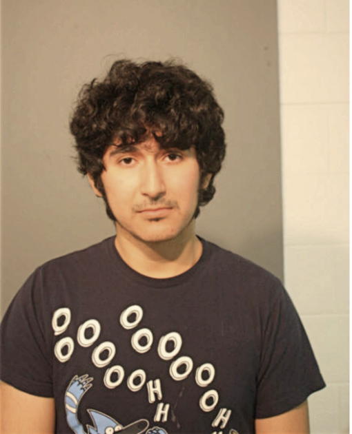 JOSE LUIS ORTEGA, Cook County, Illinois