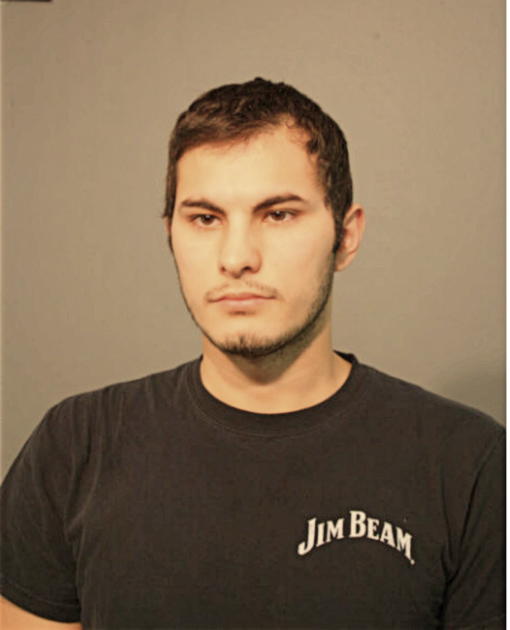 MARIO E ORTIZ, Cook County, Illinois
