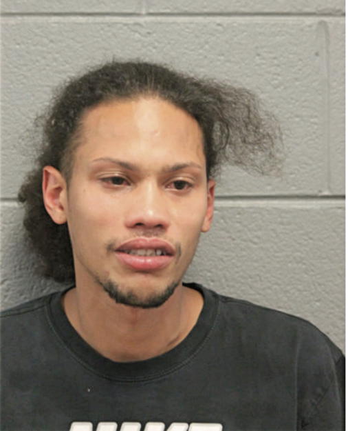 ARIEL PELLOT-BERMUDEZ, Cook County, Illinois