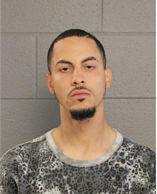 JAMIE PURCHES, Cook County, Illinois