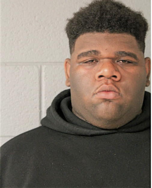 XAVIER WOOD, Cook County, Illinois