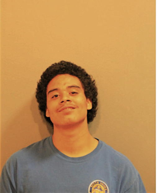 HOSEA D WOODSON, Cook County, Illinois