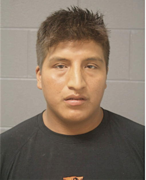 LUIS R ALLAICO, Cook County, Illinois