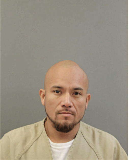 JOSUE BAEZ-LOZADA, Cook County, Illinois