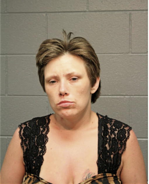 MELISSA BANYS, Cook County, Illinois