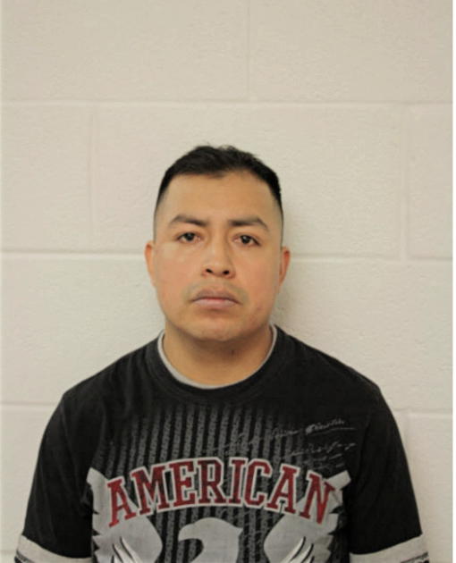 LUIS HUMBERTO BONETE LLAPA, Cook County, Illinois