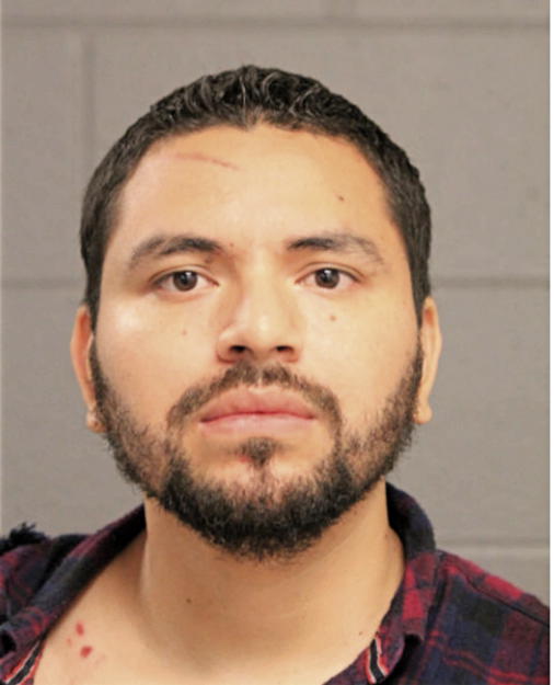 GUADALUPE CARMONA-ARELLANO, Cook County, Illinois
