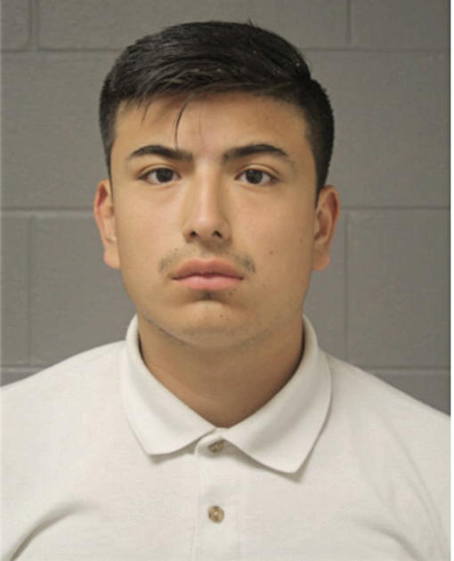 LUIS CISNEROS, Cook County, Illinois