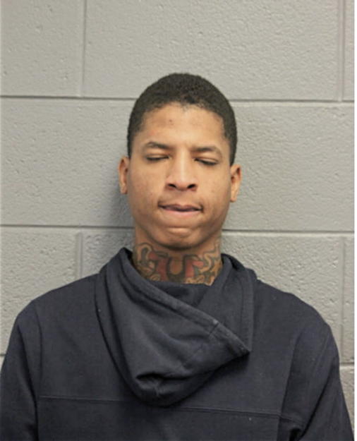 LEE M DAVIS, Cook County, Illinois