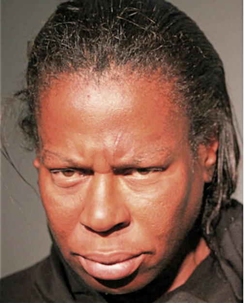 LAVELLE HAYES, Cook County, Illinois