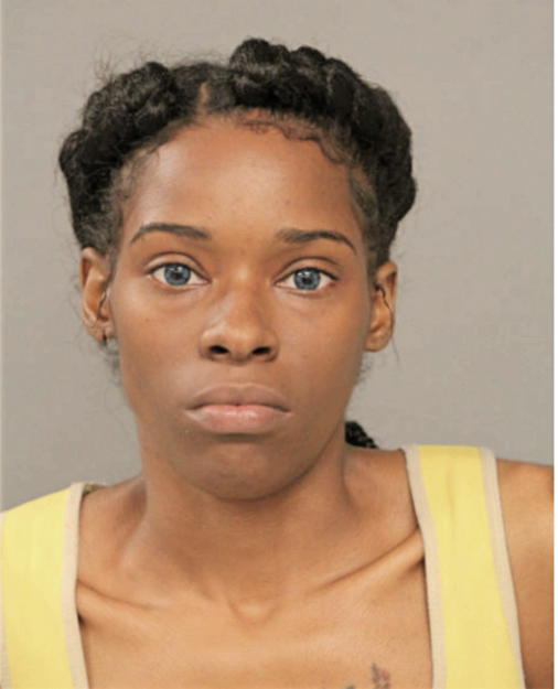 LATOSHA L IRVIN, Cook County, Illinois