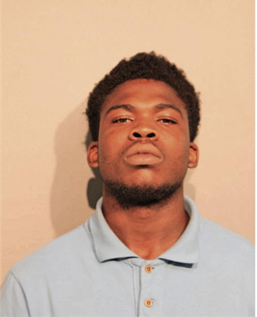 ANTHONY O JOHNSON, Cook County, Illinois