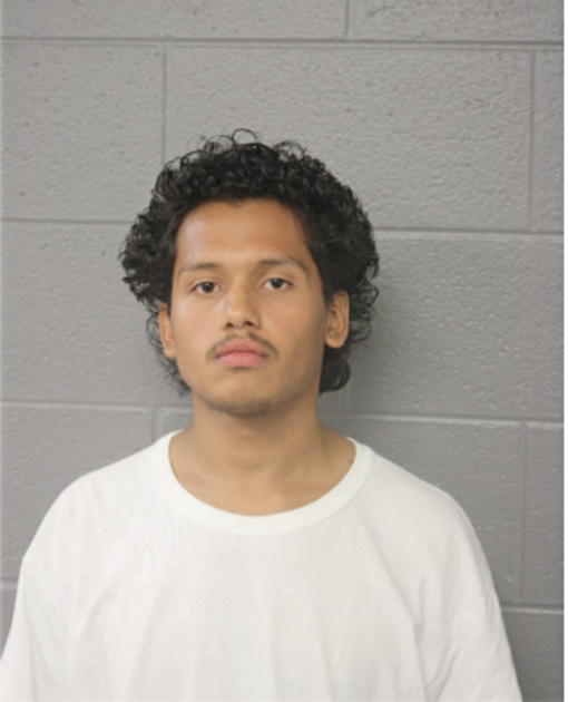 ALFREDO LUNA, Cook County, Illinois