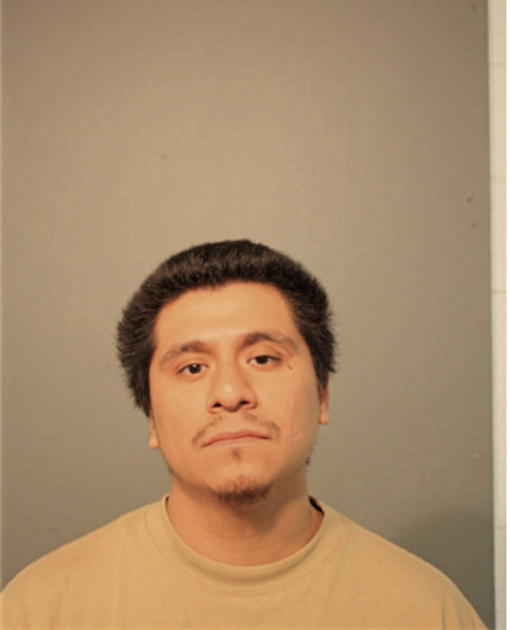 ALVARO MARTINEZ, Cook County, Illinois