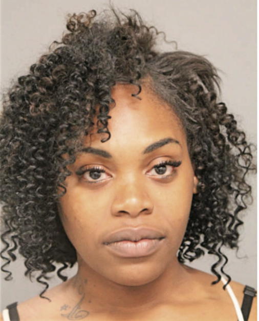 ROCHELLE K MCDOWELL, Cook County, Illinois