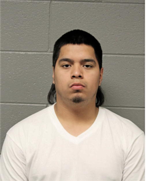EDSEL MINON, Cook County, Illinois