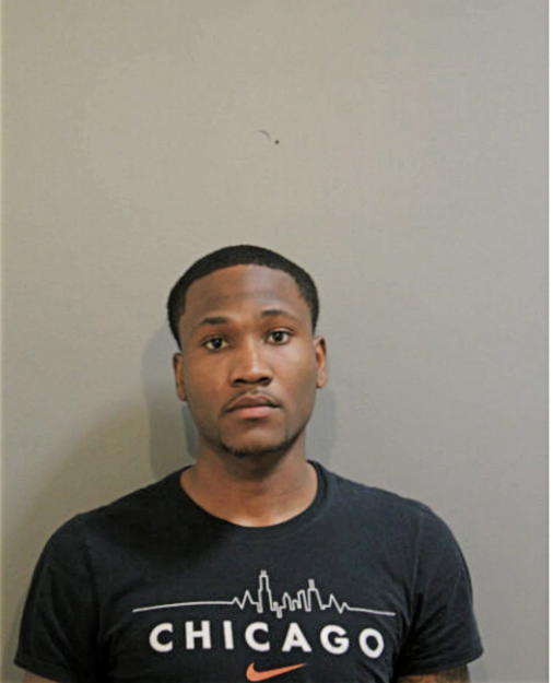 MICHAEL T MORGAN, Cook County, Illinois