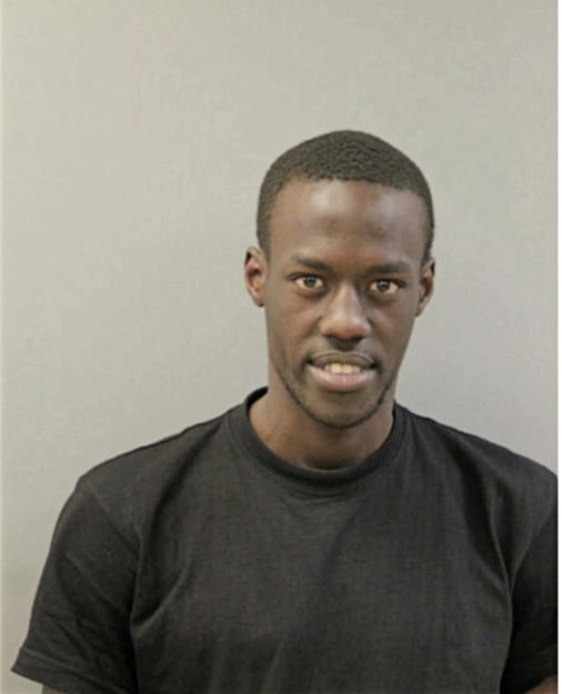 STEVE M OMANA, Cook County, Illinois