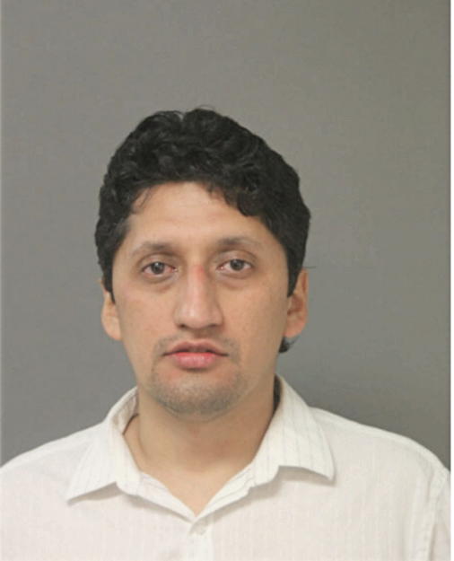 JOSE O ORTEGA, Cook County, Illinois