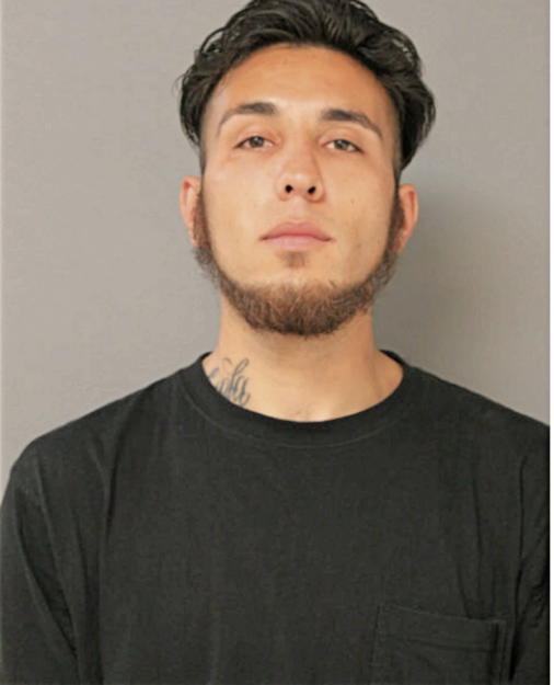 FELIX ADRIAN PEREZ ZETINA, Cook County, Illinois