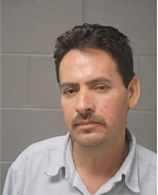 AMADOR REYNA, Cook County, Illinois