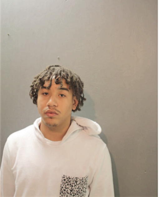 BRYAN J SIMS, Cook County, Illinois