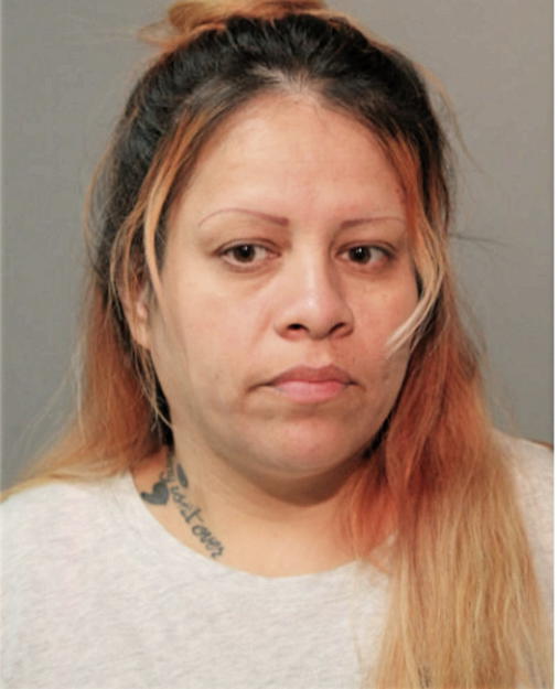 KARINA E VELASQUEZ, Cook County, Illinois