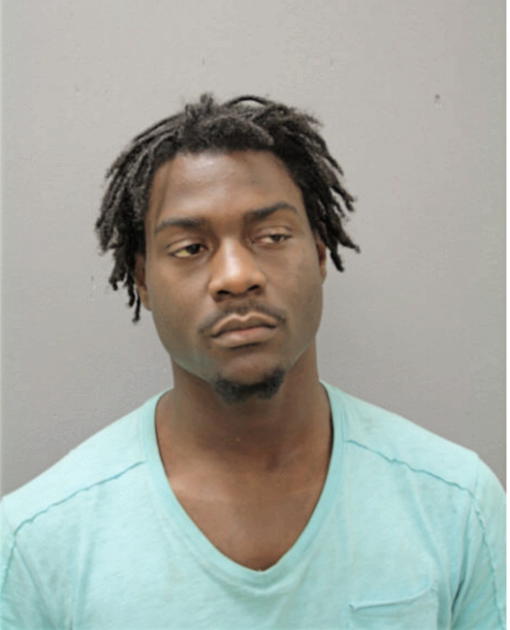 ANTHONY E WILSON, Cook County, Illinois