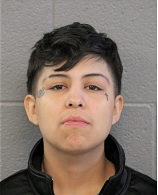 ROSEMARY Y VARGAS, Cook County, Illinois