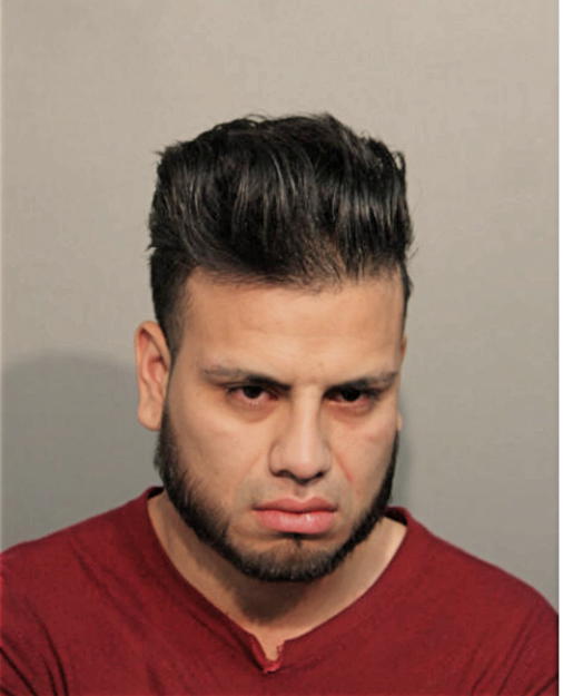 GABRIEL ALEMAN, Cook County, Illinois