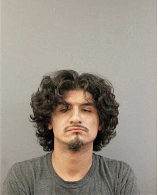 GUSTAVO C ALMARAZ, Cook County, Illinois