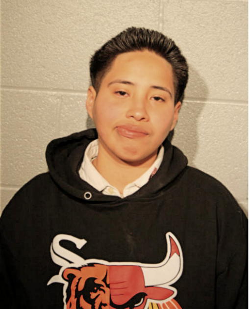 NANCY ALVAREZ, Cook County, Illinois