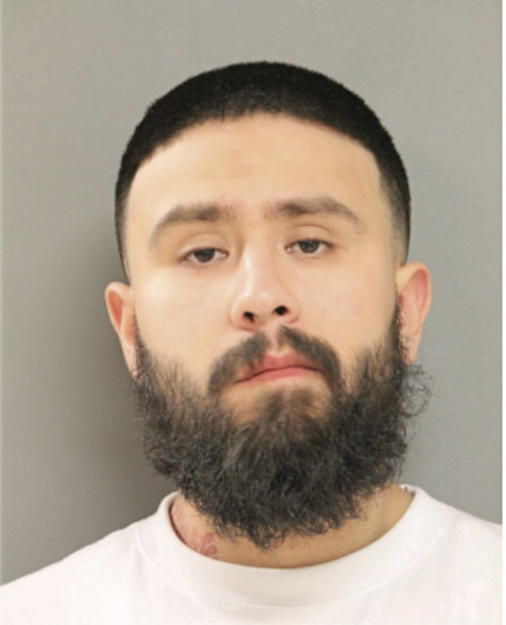 CARLOS ALVIZO, Cook County, Illinois
