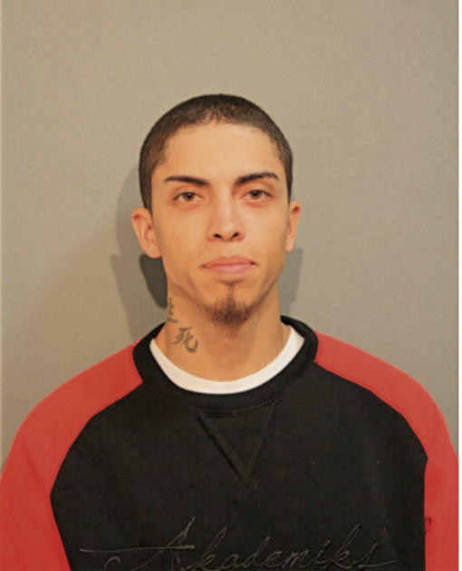 MICHAEL BRAVO, Cook County, Illinois