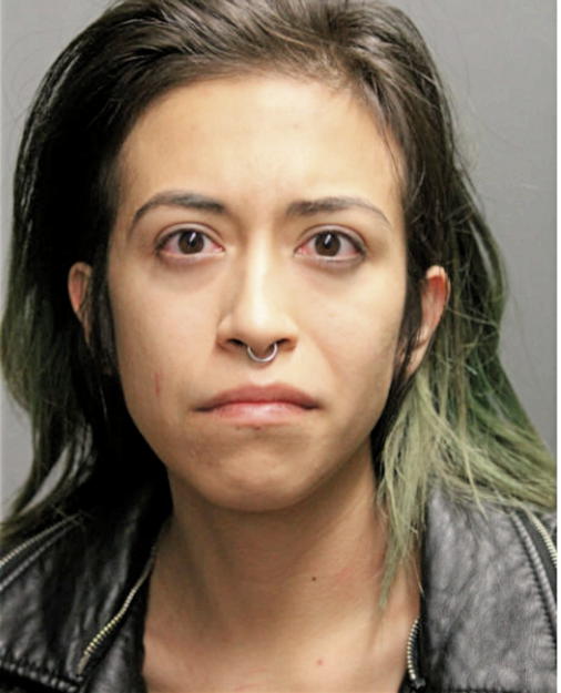 ERIKA M CANCHOLA, Cook County, Illinois