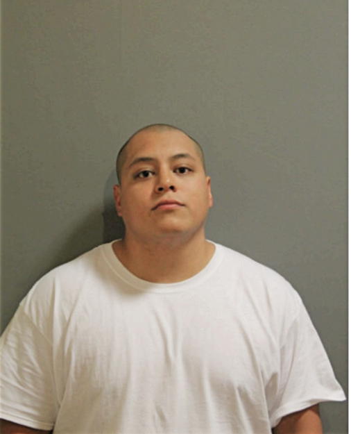 ALEX CHAVEZ, Cook County, Illinois