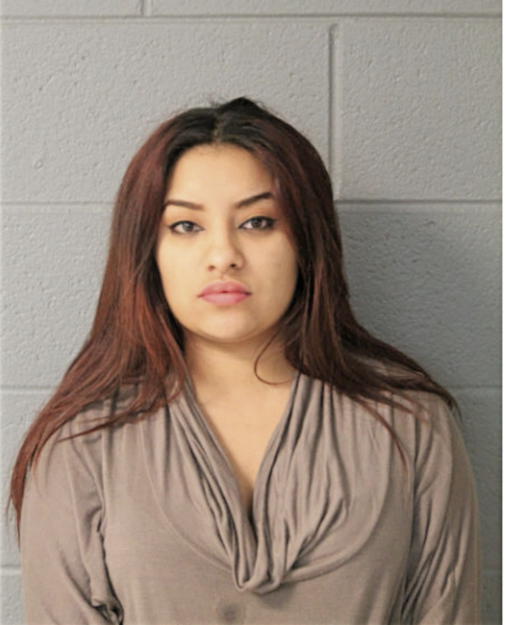 LYNETTE E CRUZ, Cook County, Illinois