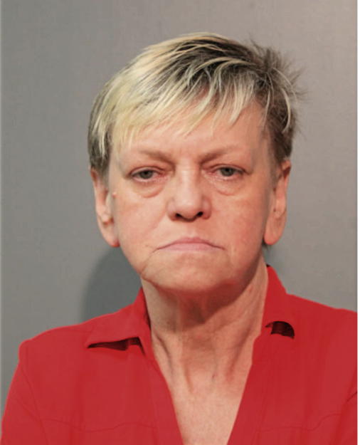 ELZBIETA DROZDOWSKA, Cook County, Illinois