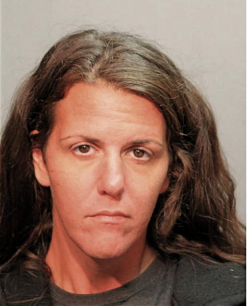 ALLISON C FISHMAN, Cook County, Illinois
