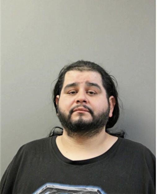LUIS A HERNANDEZ, Cook County, Illinois