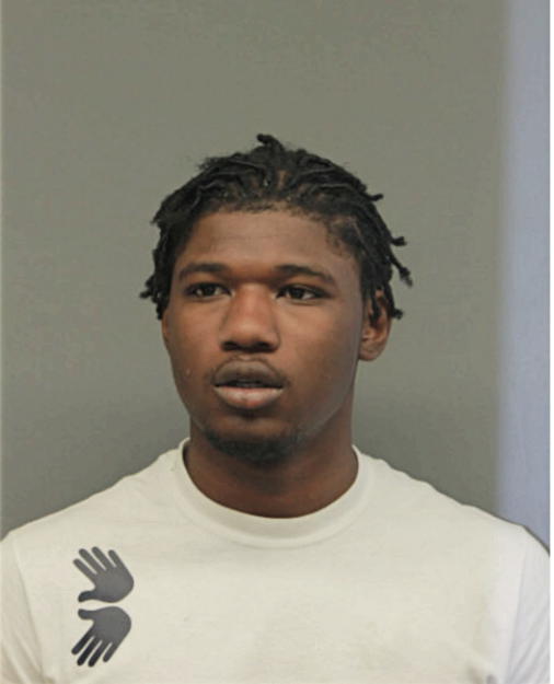 CHRISTOPHER D HICKS, Cook County, Illinois